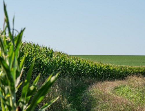 BI Düssel-West: Positive Zwischenbilanz und Kritik am Flächenranking