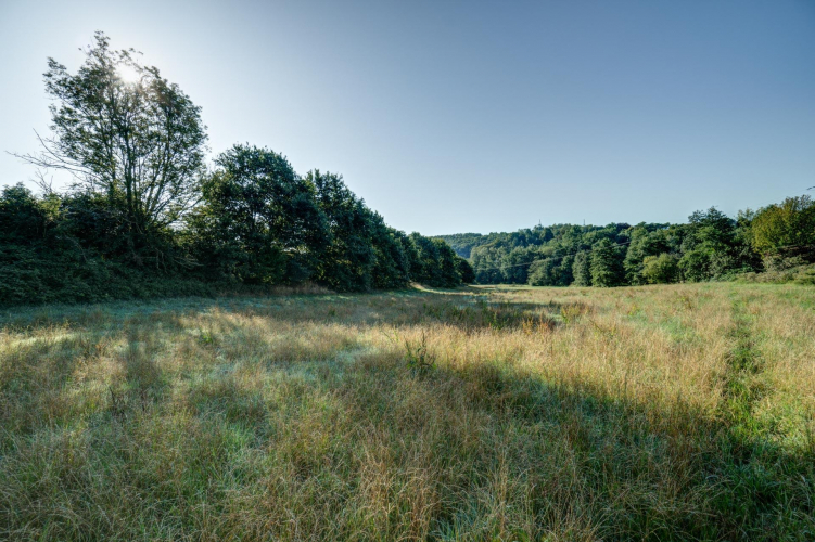 Bürgerinitiative Düssel-West © Copyright Frank Tusch